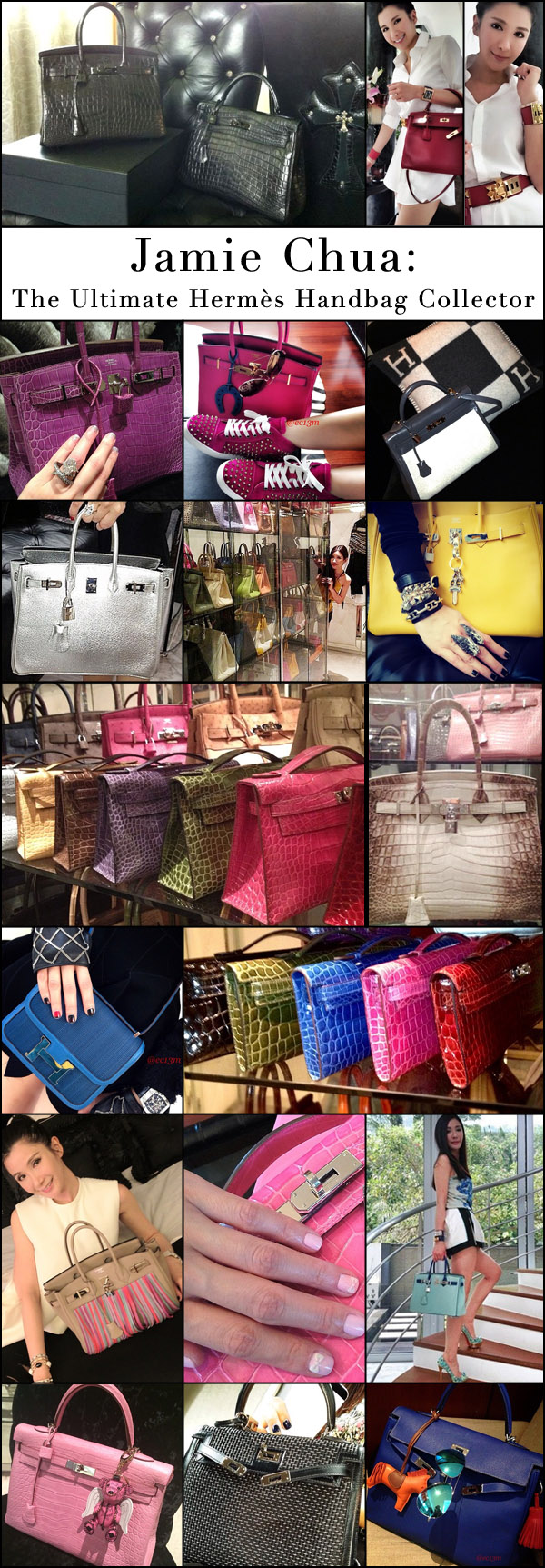 Jamie-Chua-Ultimate-Hermes-Handbag-Collector-Mega-Blog-Kelly-Birkin-final.jpg